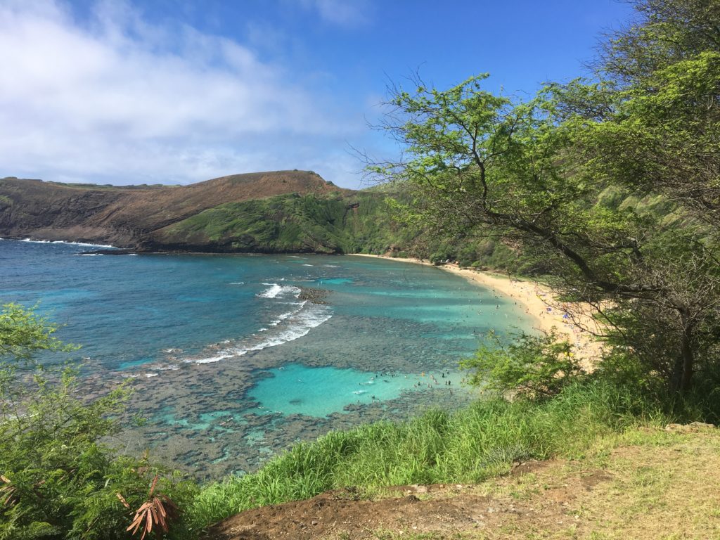 June 5 Meeting Of Maui Nui Marine Resource Council To Feature Free