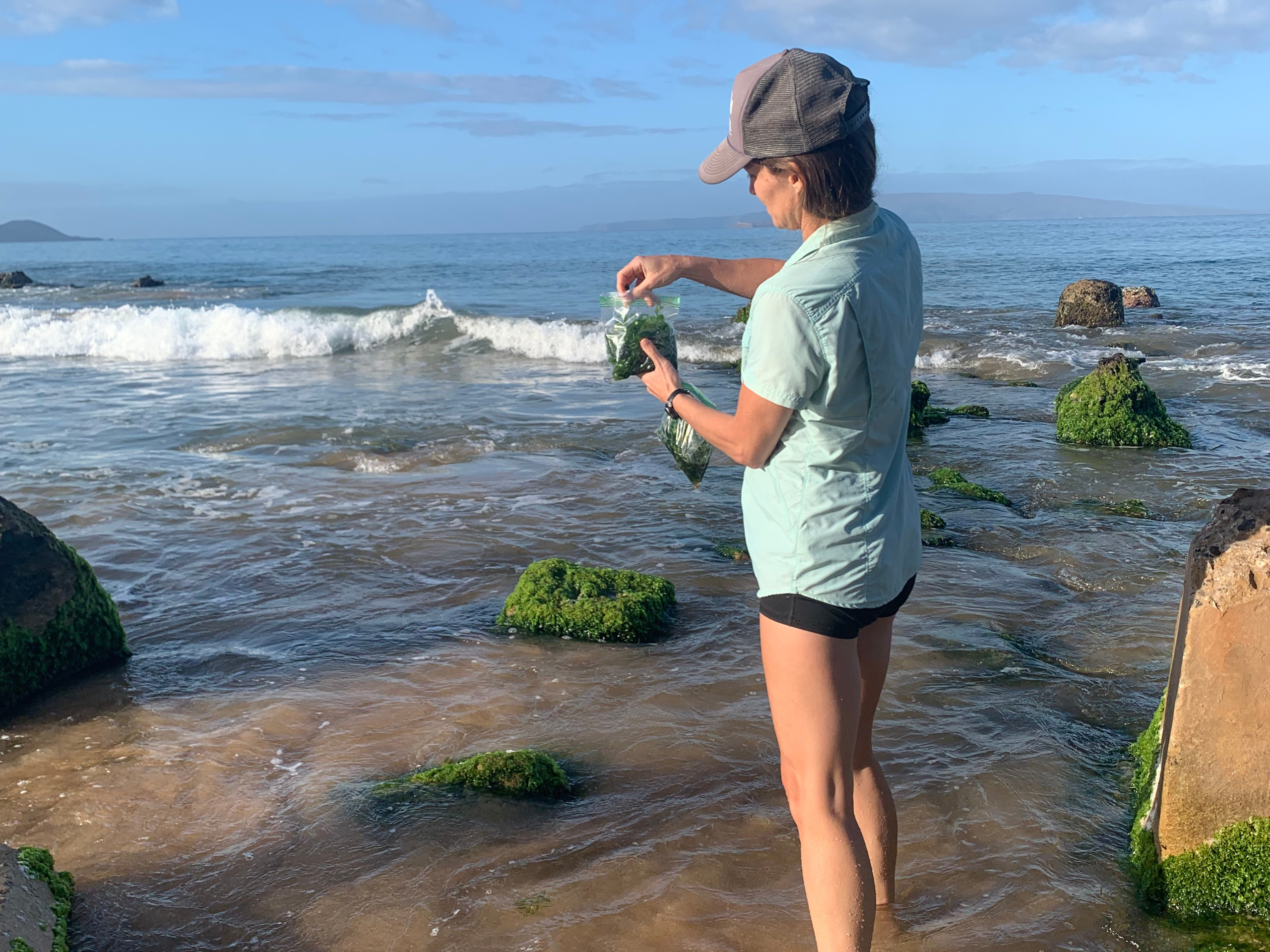 Amy collects alage samples from a beach and puts them into a plastic baggie