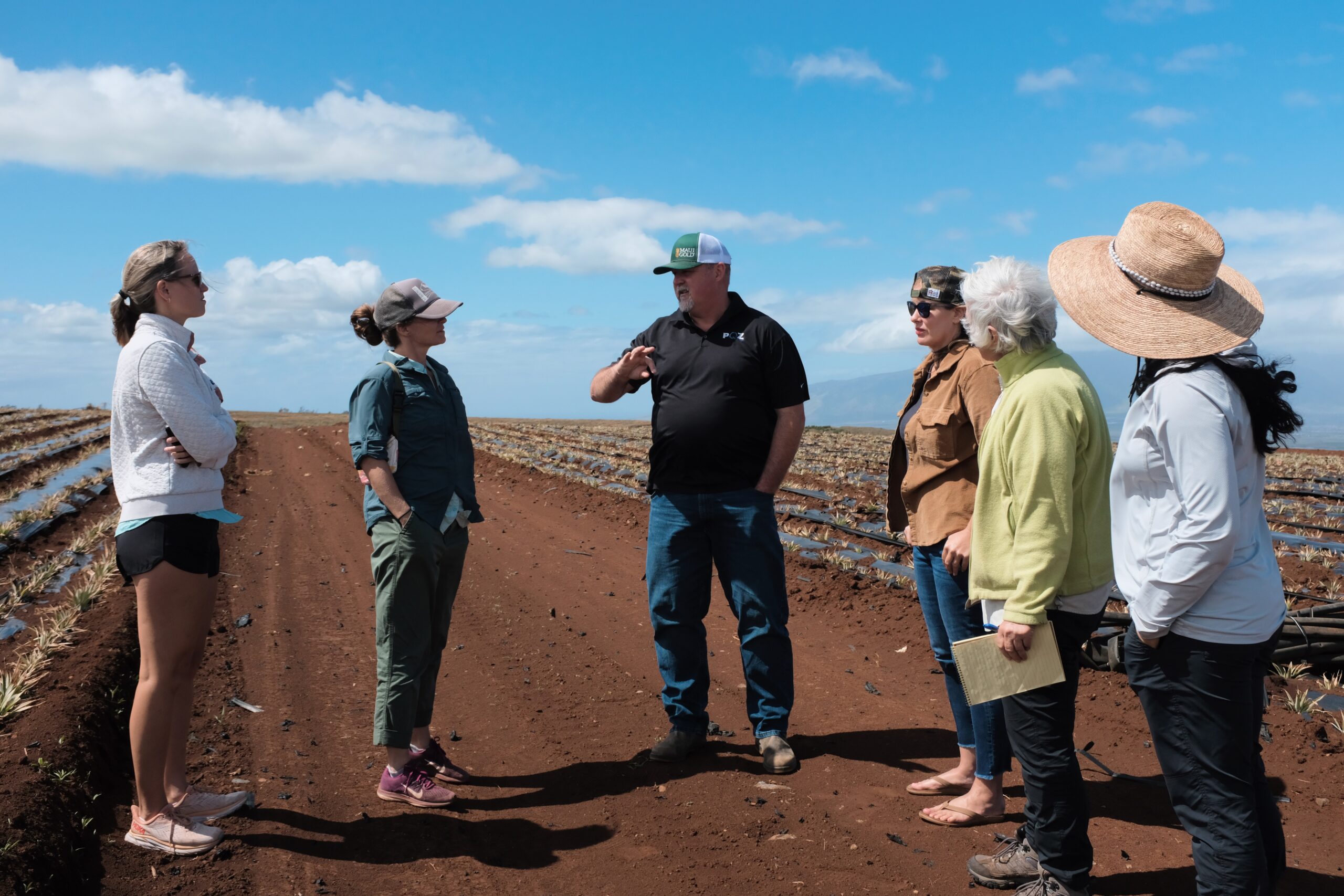 A group of MNMRC, Maui Gold and SoilThrive Hawaii LLC team members visit a test plot site at Maui Gold